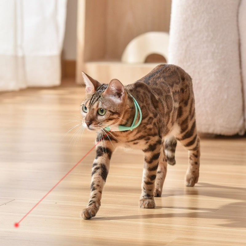 🐱Rechargeable Wearable Electronic Collar for Cat💥