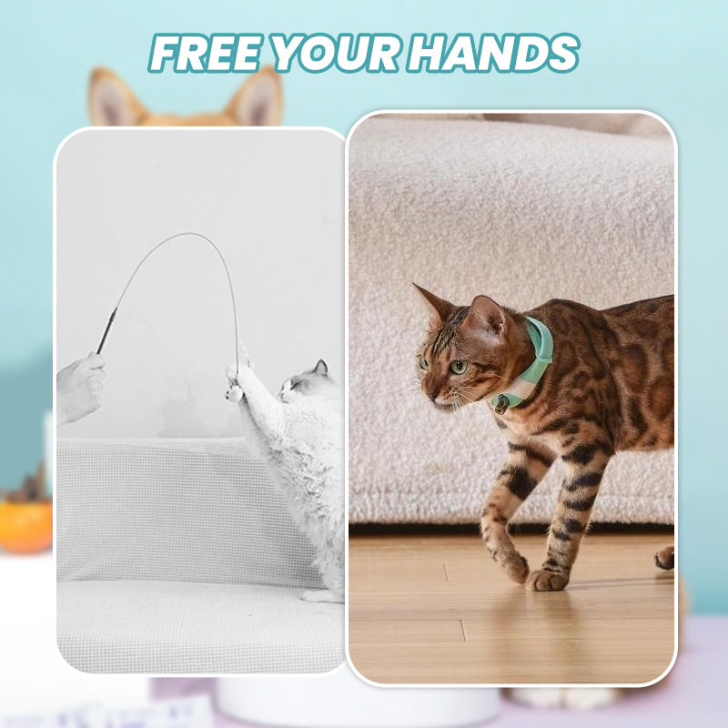 🐱Rechargeable Wearable Electronic Collar for Cat💥