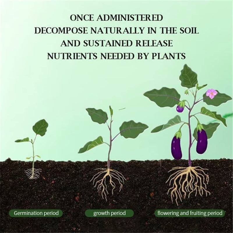 🌿All-Purpose Slow-Release Tablet Fertilizer for Plants🌼