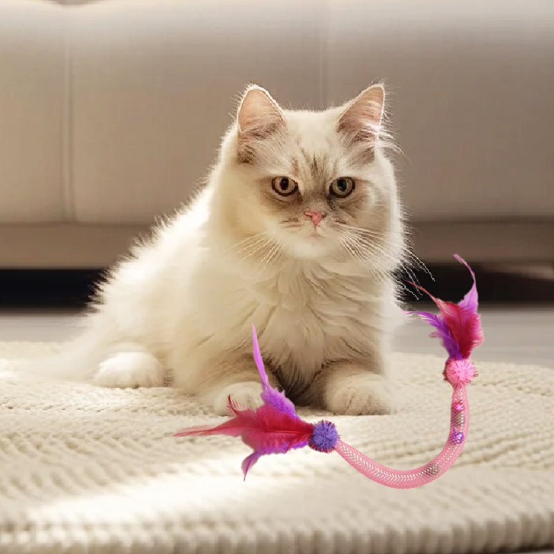 💥Hot Sale😻Cat Teaser Toys with Catnip and Feathers