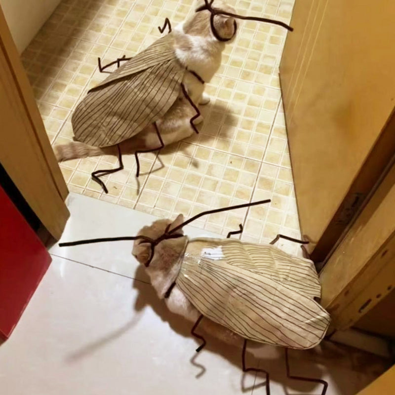 🎉2025 New Products Hot Sale✨Cat Cockroach Costume Kit