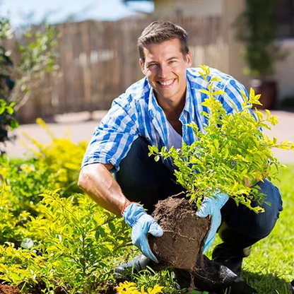 🌱Soil Loosening Agent: For Better Aeration & Plant Growth! ✨