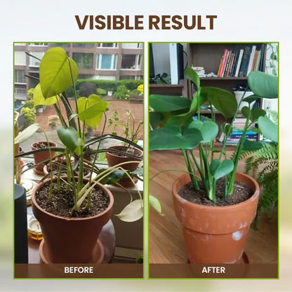 🌱Soil Loosening Agent: For Better Aeration & Plant Growth! ✨