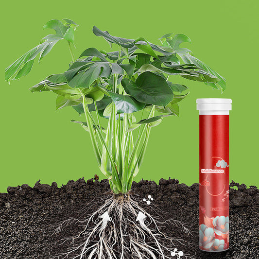 🌿All-Purpose Slow-Release Tablet Fertilizer for Plants🌼