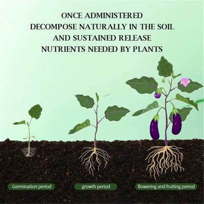 🌿All-Purpose Slow-Release Tablet Fertilizer for Plants🌼