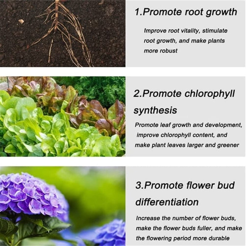 🌿All-Purpose Slow-Release Tablet Fertilizer for Plants🌼