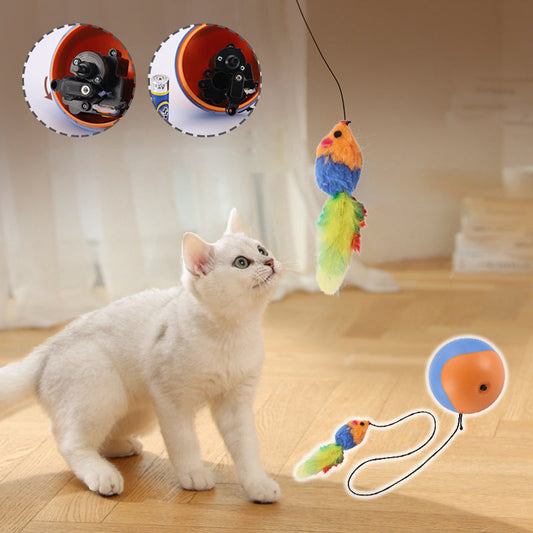 🐱🐶Self-Rolling Cat Entertainment Toy✨