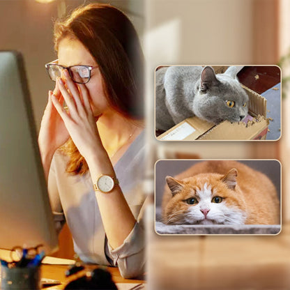 🐱🐶Self-Rolling Cat Entertainment Toy✨