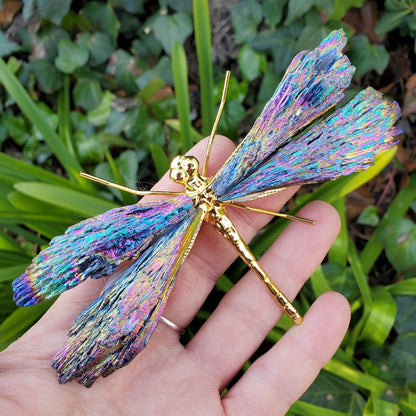 💥🦋AURA TOURMALINE KYANITE DRAGONFLY✨