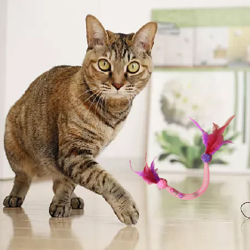 💥Hot Sale😻Cat Teaser Toys with Catnip and Feathers