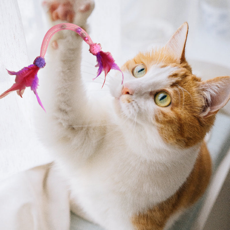 💥Hot Sale😻Cat Teaser Toys with Catnip and Feathers