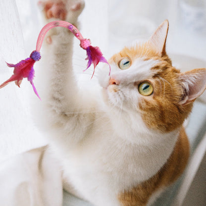 💥Hot Sale😻Cat Teaser Toys with Catnip and Feathers