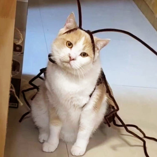 🎉2025 New Products Hot Sale✨Cat Cockroach Costume Kit