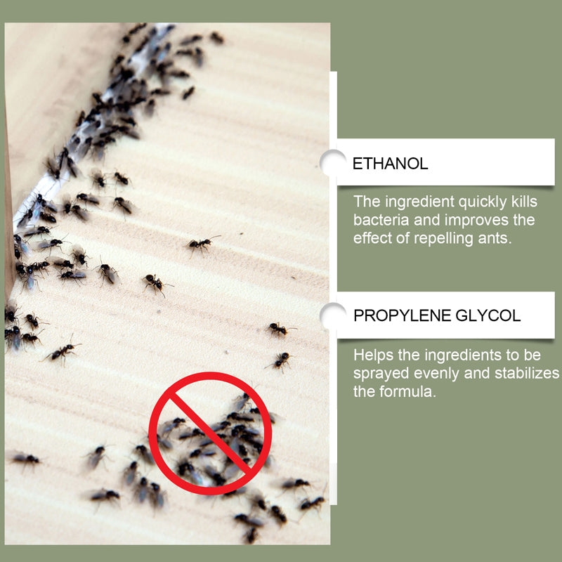 🍃Multipurpose Powerful Ant Repellent Spray🚫