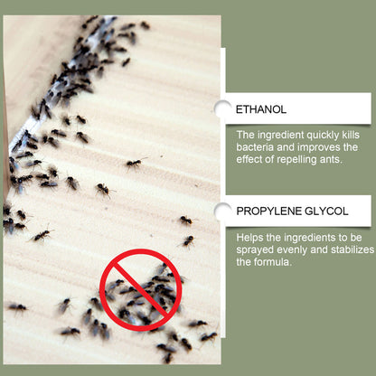 🍃Multipurpose Powerful Ant Repellent Spray🚫