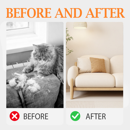 ⏳Limited-time 50% off🔥 Cat Litter Box Hair Filter Door