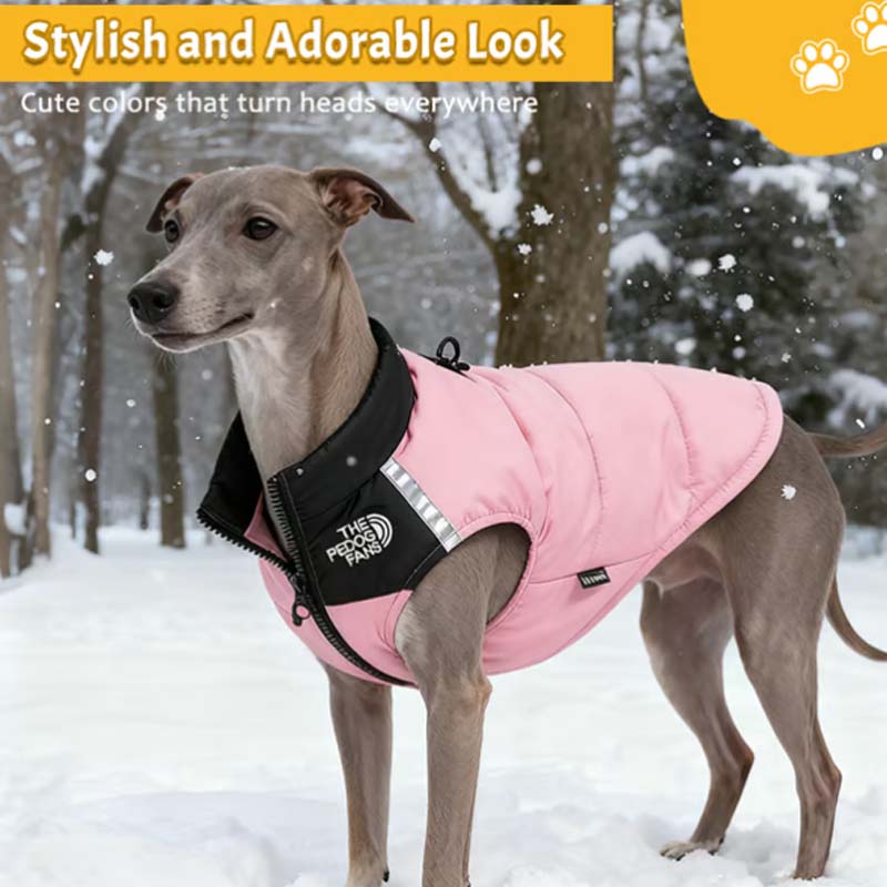 Waterproof Windproof Winter Dog Coat