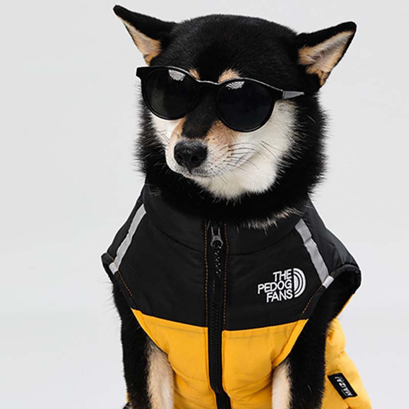 Waterproof Windproof Winter Dog Coat