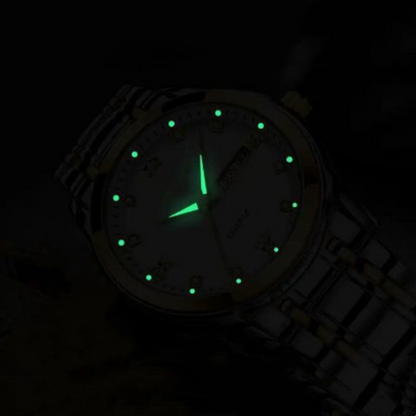 🔥Christmas Limited-Time Offer: 49% OFF!!!🔥Men's Two-Tone Waterproof Luminous Watch