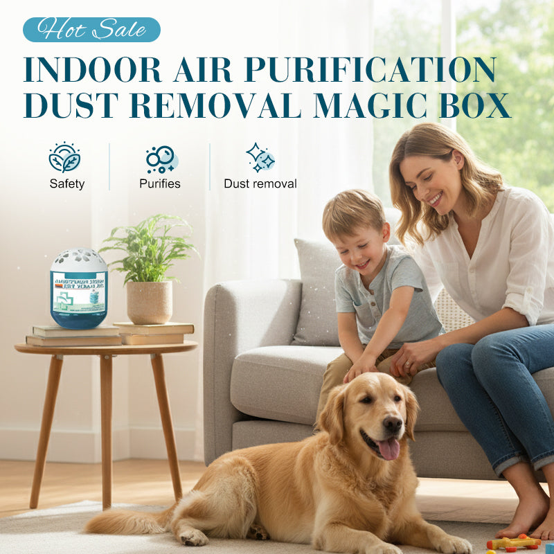 🍃Indoor Air Purification Dust Removal Magic Box🍋‍🟩