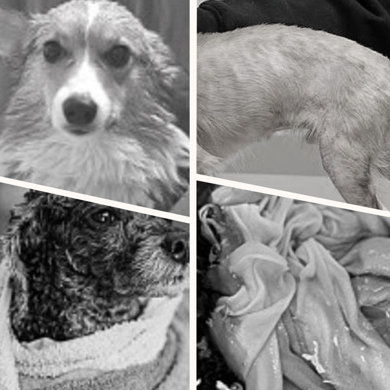 Soft Absorbent and Quick-Drying Dog Bathrobe