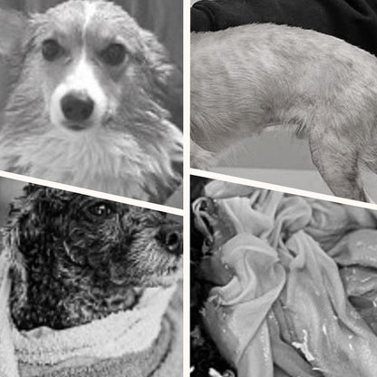 Soft Absorbent and Quick-Drying Dog Bathrobe