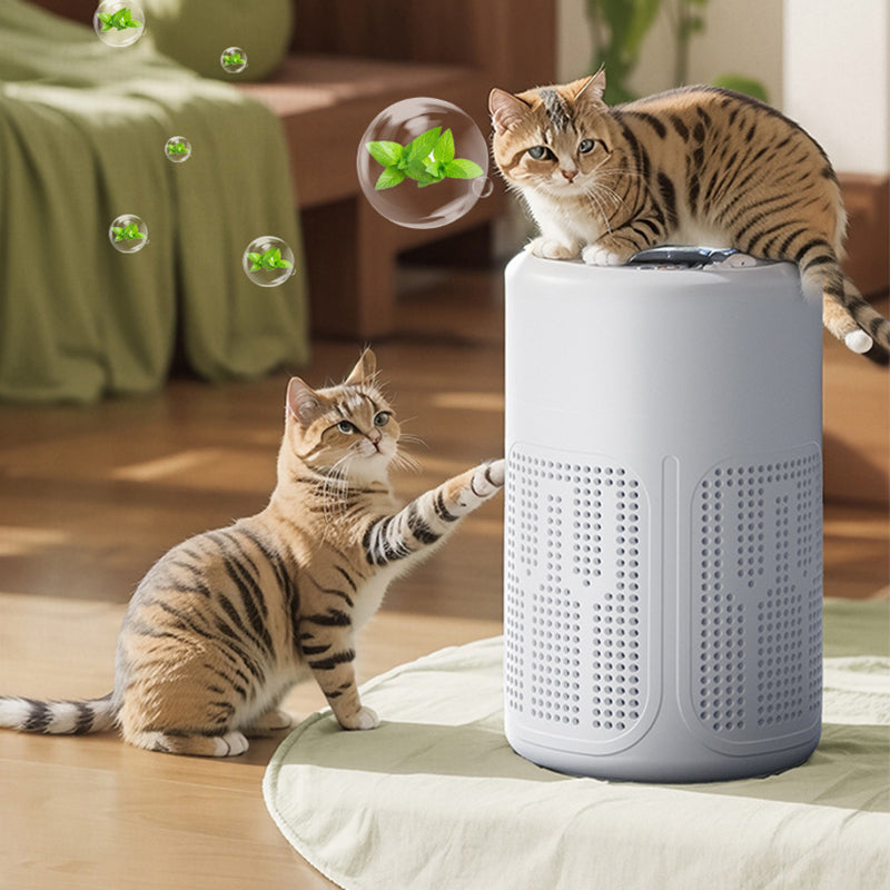 🌬️ 49% OFF! 🔥 Compact home air purifier – 2026 bestseller – Quiet, energy-efficient, and perfect for allergy sufferers, dust, and pet hair 🏠