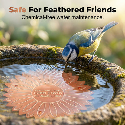 Pure Copper Bird Bath Purification Disk