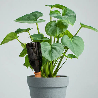 Conical Ceramic Automatic Soaker