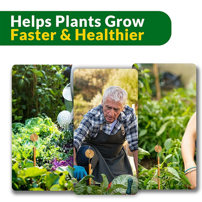Growth-Boosting Electroculture Plant Stakes