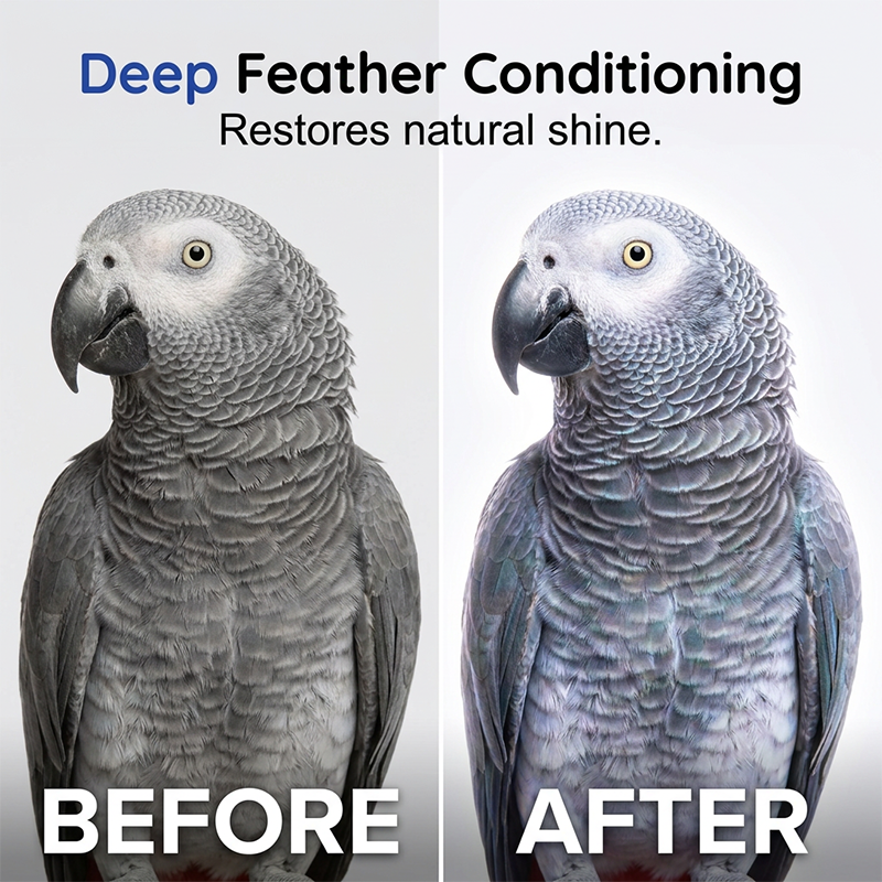 🐦Waterless Foam Bird Cleaner