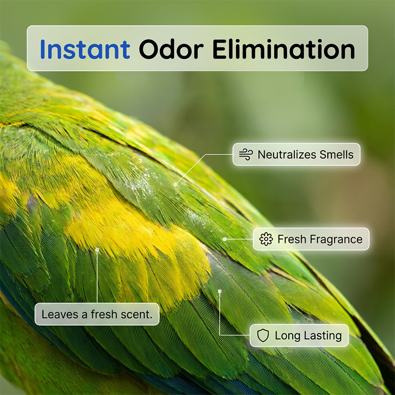 🐦Waterless Foam Bird Cleaner