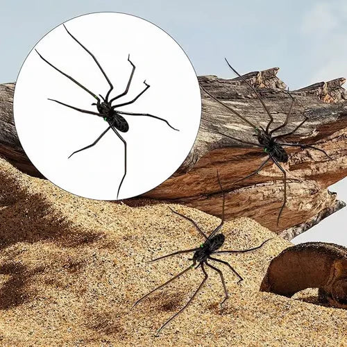 🎉🕷️ Realistic Spider Magnets – Trick or Treat Your Fridge, Garage & Car — Halloween Fun All Year! 🏠