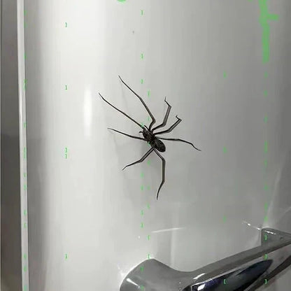 🎉🕷️ Realistic Spider Magnets – Trick or Treat Your Fridge, Garage & Car — Halloween Fun All Year! 🏠