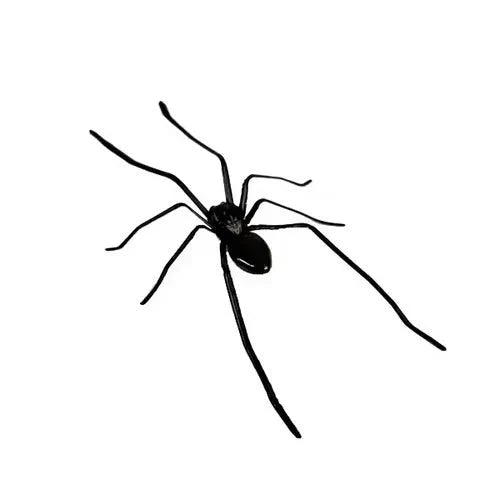 🎉🕷️ Realistic Spider Magnets – Trick or Treat Your Fridge, Garage & Car — Halloween Fun All Year! 🏠