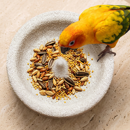 🔥2-in-1 Volcanic Rock Bird Food Bowl & Beak Grinder