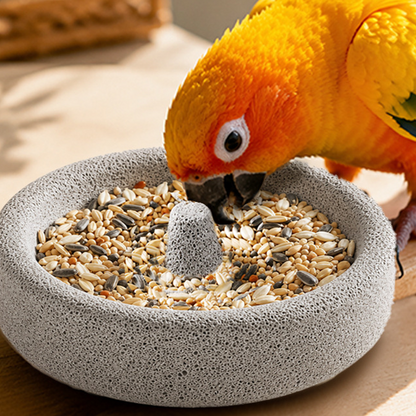 🔥2-in-1 Volcanic Rock Bird Food Bowl & Beak Grinder
